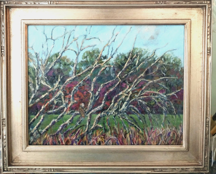 Duda, Rosemary title: Barnyard Owl on the Watch, Patrick Henry's Scotchtown