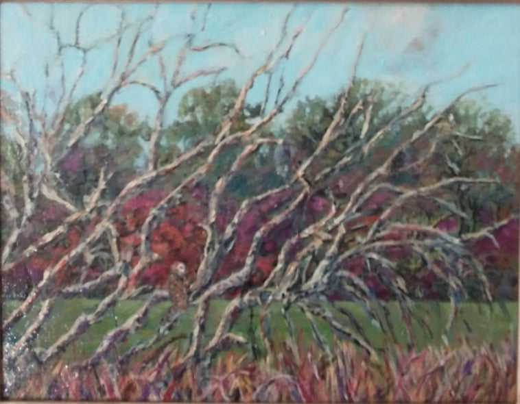 Duda, Rosemary title: Barnyard Owl on the Watch, Patrick Henry's Scotchtown