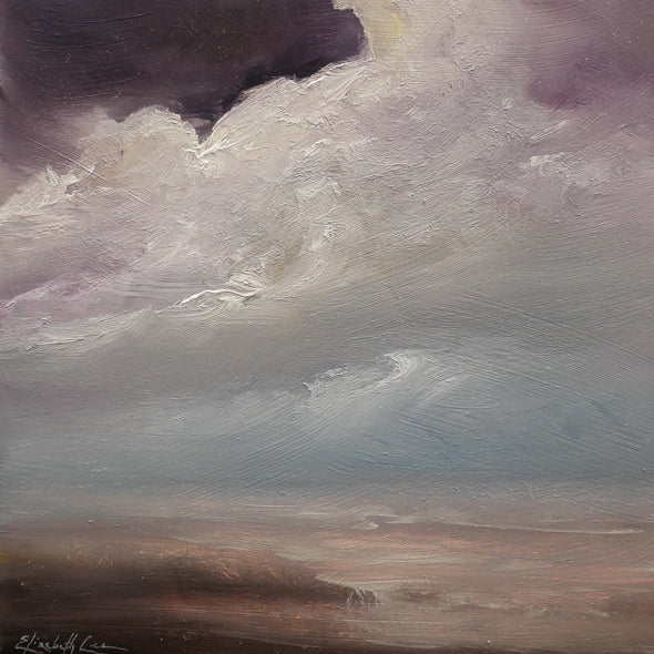 Elizabeth A. Lee Title: Cloaked in Clouds
