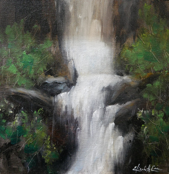 Elizabeth A. Lee Title: Over the Edge