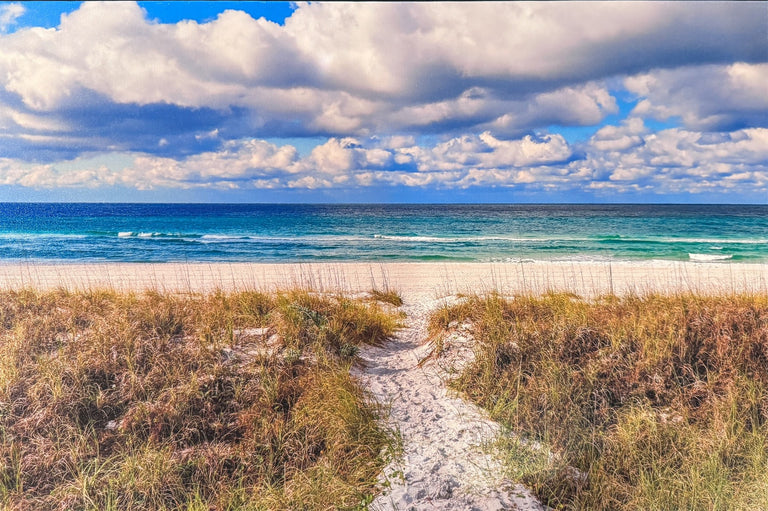 Evans, Martin Title: Beach Walk