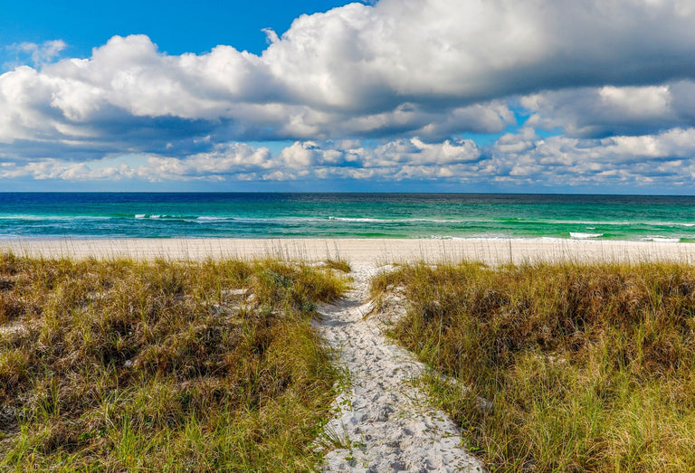 Evans, Martin Title: Beach Walk