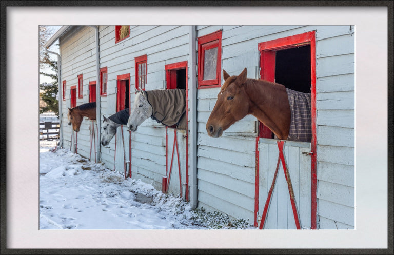 Evans, Martin Title: Before Breakfast