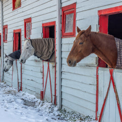 Evans, Martin Title: Before Breakfast