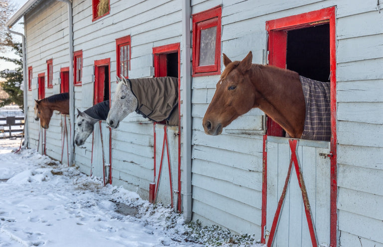 Evans, Martin Title: Before Breakfast