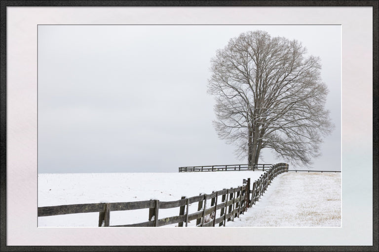 Evans, Martin Title: Branches and Barrier