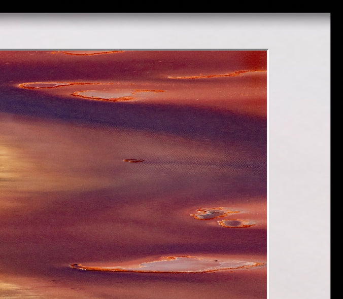 Evans, Martin  title: Grand Prismatic Curves