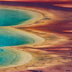 Evans, Martin  title: Grand Prismatic Curves