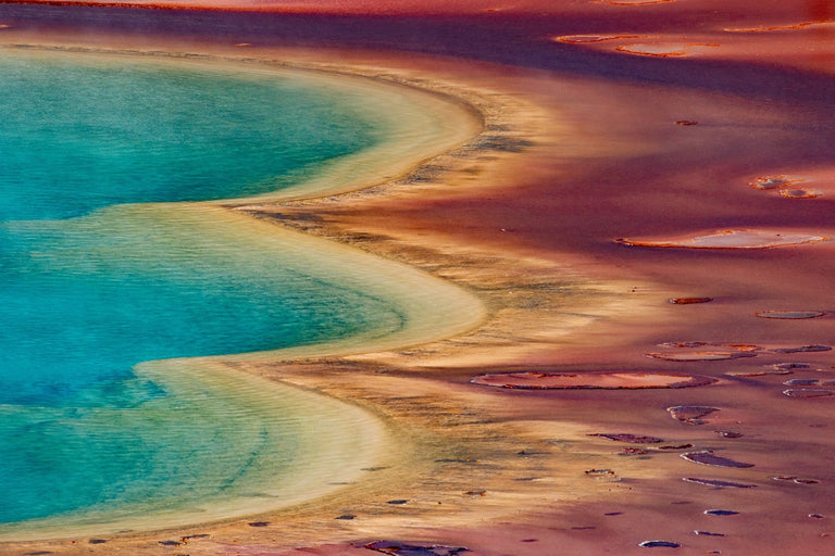 Evans, Martin  title: Grand Prismatic Curves