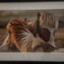 Evans, Martin title: Looking at Ya