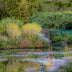 Evans, Martin Title: Monet's Pond