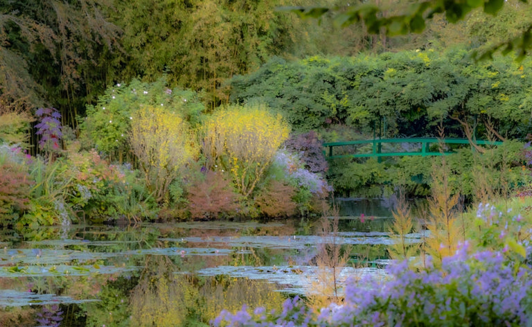 Evans, Martin Title: Monet's Pond