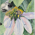Flannagan, Kathleen Title: 	Bee Close