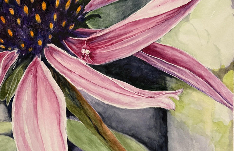 Flannagan, Kathleen  title: Explorers of Echinacea