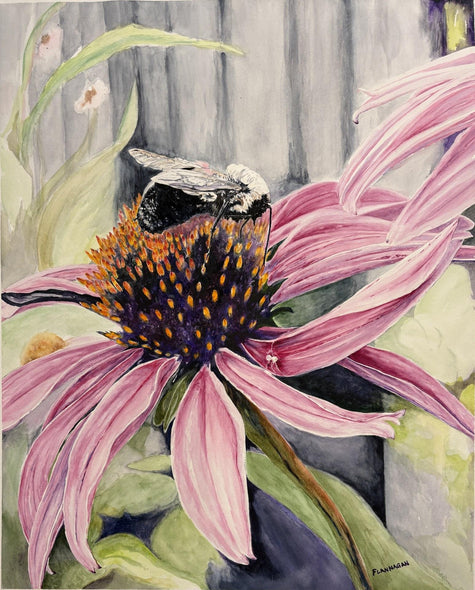 Flannagan, Kathleen  title: Explorers of Echinacea