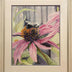 Flannagan, Kathleen  title: Explorers of Echinacea