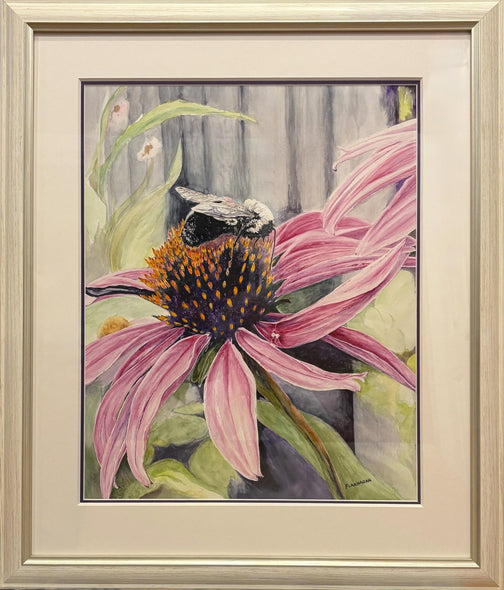 Flannagan, Kathleen  title: Explorers of Echinacea
