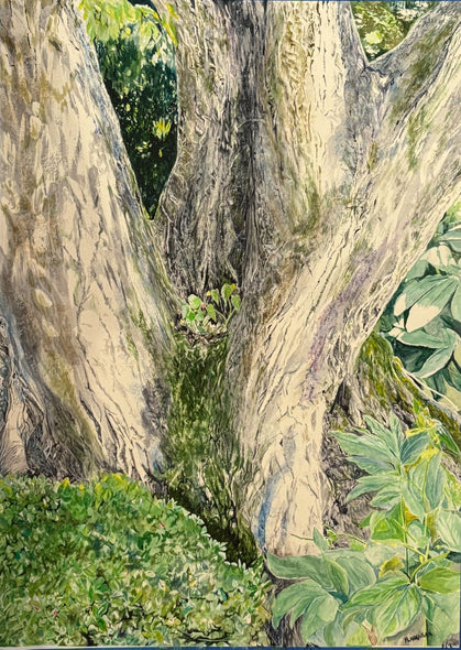 Flannagan, Kathleen Title: Family Tree