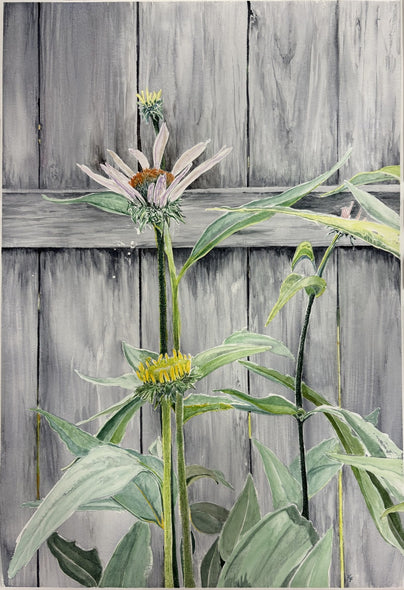 Flannagan, Kathleen Title: 	Season's Final Blooms