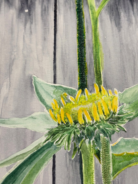 Flannagan, Kathleen Title: 	Season's Final Blooms