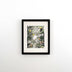 Peyton Millikan Title: Flora & Feathers I