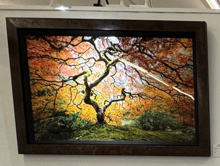 Franta, Darron Title: Glorious