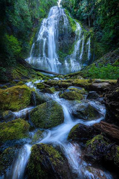 Franta, Darron Title: Proxy Falls