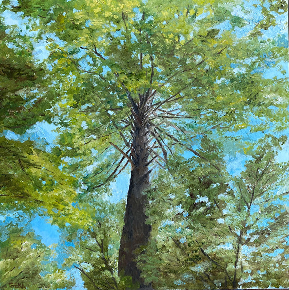 Gena Neidert Title: A walk in the woods