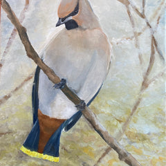 Gena Neidert Title: Cedar Waxwing