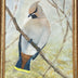Gena Neidert Title: Cedar Waxwing