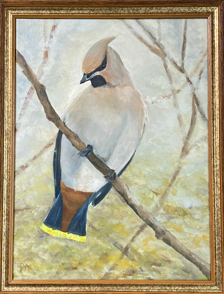 Gena Neidert Title: Cedar Waxwing