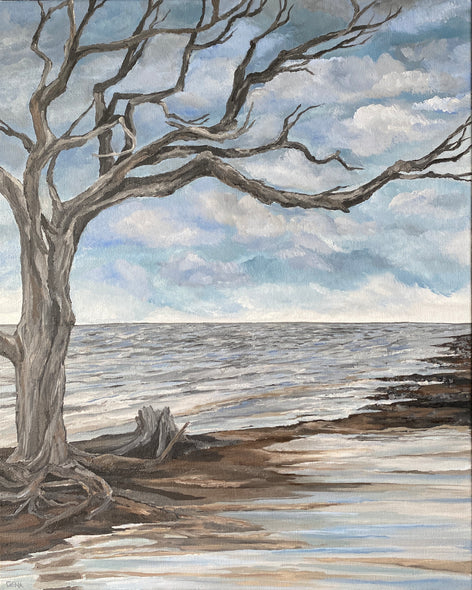 Gena Neidert Title: Driftwood Beach