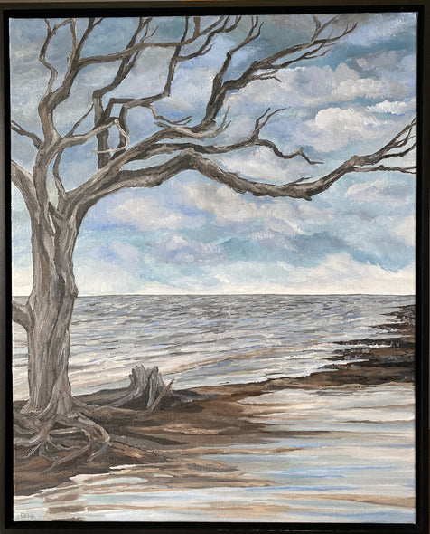 Gena Neidert Title: Driftwood Beach