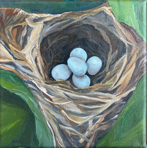 Gena Neidert Title: Hummingbird Nest