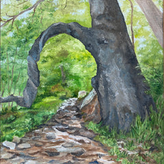 Gena Neidert Title: Mary's Rock Hike