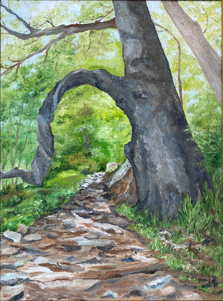 Gena Neidert Title: Mary's Rock Hike