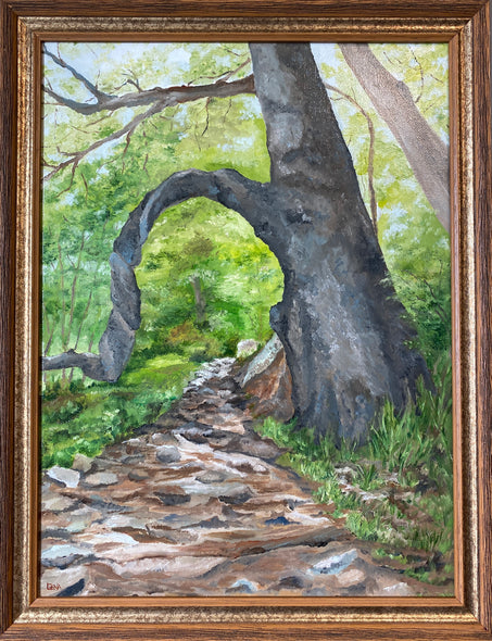 Gena Neidert Title: Mary's Rock Hike