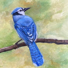 Gena Neidert Title: Mr. Bluejay