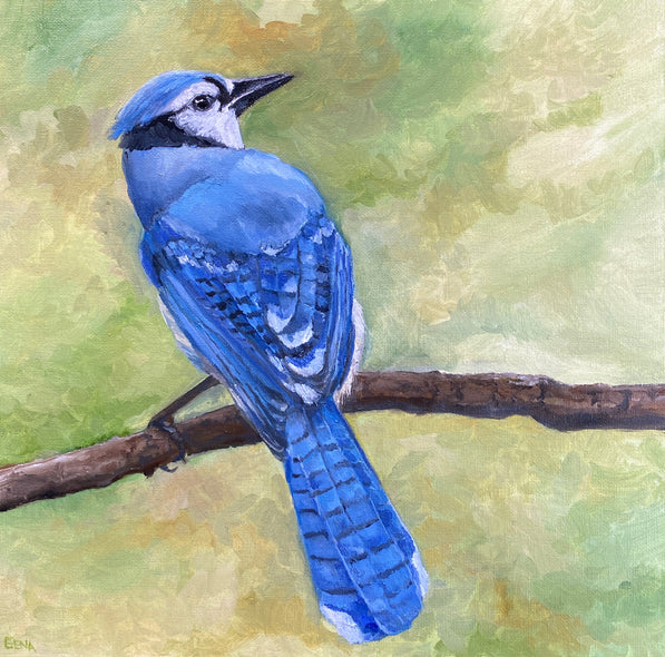 Gena Neidert Title: Mr. Bluejay
