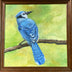 Gena Neidert Title: Mr. Bluejay