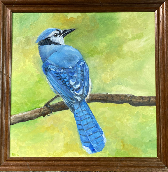 Gena Neidert Title: Mr. Bluejay