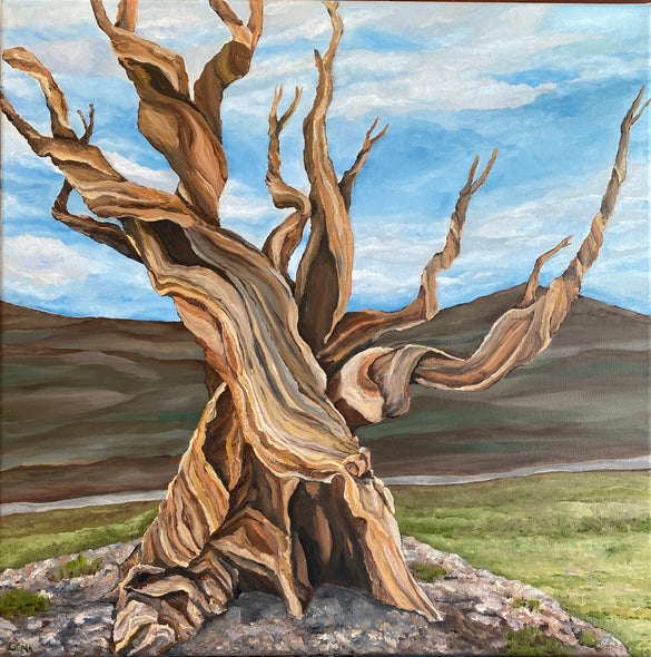 Gena Neidert Title: Mr. Methuselah