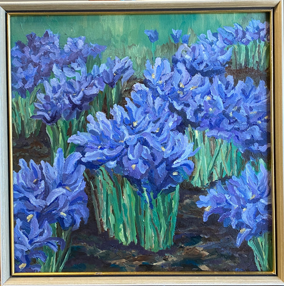 Gena Neidert Title: Siberian Iris Garden