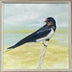 Gena Neidert Title: Swallow