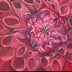 Gena Neidert Title: The Crimson Dahlia