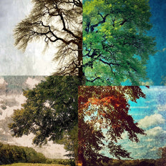 George, G Helen Title: Guardian Tree Seasons 2