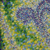 Gibbs, Robert Title: Garden Flight