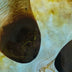 Haller, Judi title: Celstial Orbs