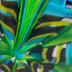 Haller, Judi title: Into the Tropics