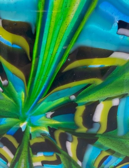 Haller, Judi title: Into the Tropics